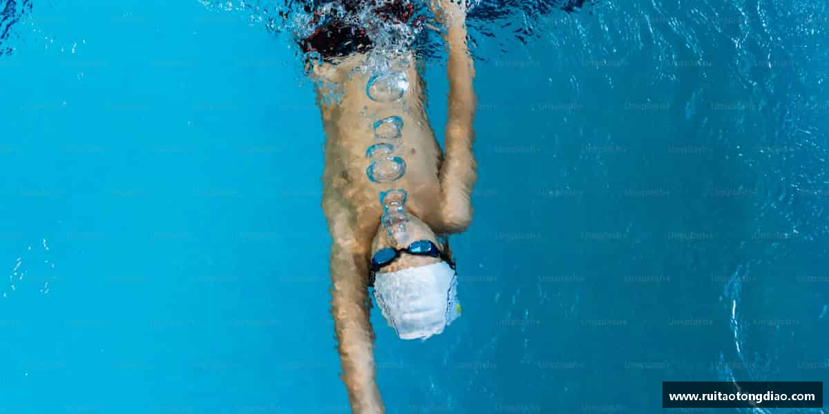 认识u8娱乐官网入口